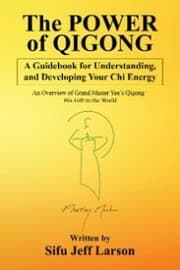 Cover von The Power of Qigong