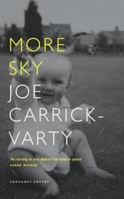 Cover von More Sky