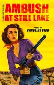 Cover von Ambush at Still Lake