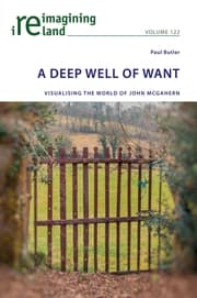 Cover von A Deep Well of Want