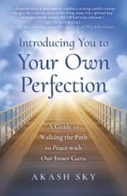 Cover von Introducing You to Your Own Perfection