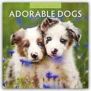 Cover von Adorable Dogs - Liebenswerte Hunde 2025 - 16-Monatskalender