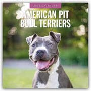 Cover von American Pit Bull Terriers - American Pit Bull Terrier 2025 - 16-Monatskalender