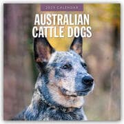 Cover von Australian Cattle Dogs - Australian Cattle Dog 2025 - 16-Monatskalender