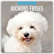 Cover von Bichon Frisés - Bichon Frisé 2025 - 16-Monatskalender