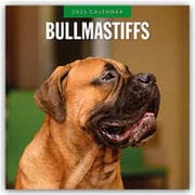 Cover von Bullmastiffs - Bullmastiff 2025 - 16-Monatskalender