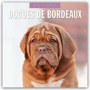 Cover von Dogues de Bordeaux - Bordeauxdoggen - Bordeaux Doggen 2025 - 16-Monatskalender