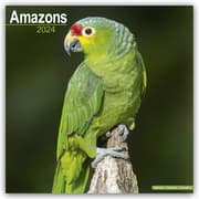 Cover von Amazons - Amazonenpapageien 2024 - 16-Monatskalender