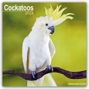 Cover von Cockatoos - Kakadus 2024 - 16-Monatskalender