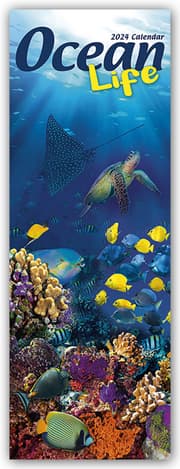 Cover von Ocean Life - Lebendige Unterwasserwelt 2024