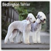 Cover von Bedlington Terrier 2025- 16-Monatskalender
