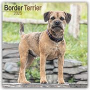 Cover von Border Terrier 2025 - 16-Monatskalender