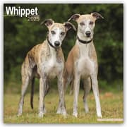 Cover von Whippet - Kleine Englische Windhunde 2025 - 16-Monatskalender