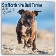 Cover von Staffordshire Bull Terrier Puppies - Staffordshire Bull Terrier Welpen 2025 - 16-Monatskalender