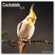 Cover von Cockatiels - Nymphensittiche 2025 - 16-Monatskalender