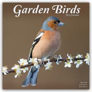 Cover von Garden Birds - Gartenvögel 2025 - 16-Monatskalender
