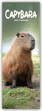 Cover von Capybara - Wasserschwein 2025