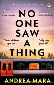 Cover von No One Saw a Thing