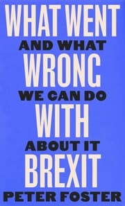 Cover von What Went Wrong With Brexit?