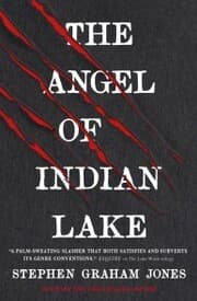 Cover von The Angel of Indian Lake