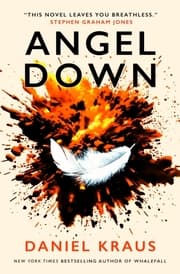 Cover von Angel Down