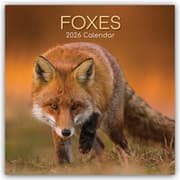 Cover von Foxes - Füchse 2026 - 16-Monatskalender
