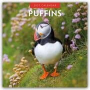Cover von Puffins/Papageitaucher 2027