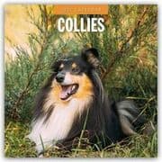 Cover von Collies/Collie 2027