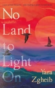 Cover von No Land to Light On