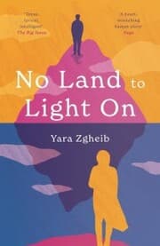 Cover von No Land to Light On