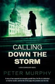 Cover von Calling Down the Storm