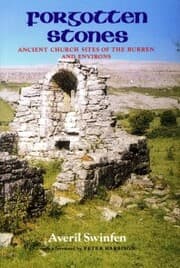 Cover von Forgotten Stones