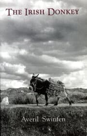Cover von The Irish Donkey