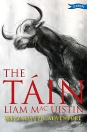 Cover von The Táin