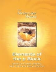 Cover von Elements of the p-Block