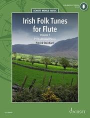 Cover von Irish Folk Tunes for Flute