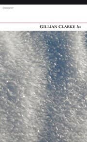 Cover von Ice