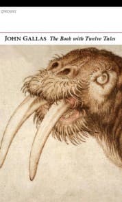 Cover von The Book with Twelve Tales