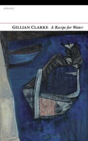 Cover von A Recipe for Water