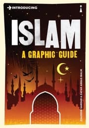 Cover von Introducing Islam