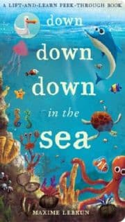 Cover von Down Down Down in the Sea