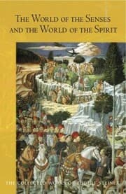 Cover von The World of the Senses