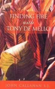 Cover von Finding Fire With Tony De Mello