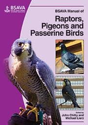 Cover von BSAVA Manual of Raptors, Pigeons and Passerine Birds