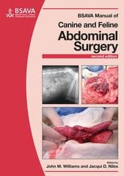 Cover von BSAVA Manual of Canine and Feline Abdominal Surgery