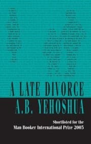 Cover von A Late Divorce
