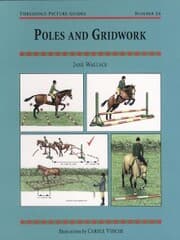 Cover von POLES AND GRIDWORK