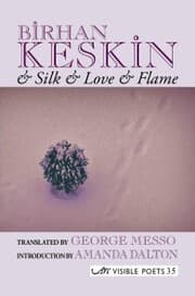 Cover von & Silk & Love & Flame