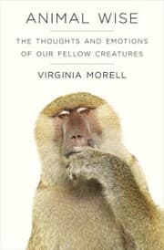 Cover von Animal Wise