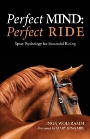 Cover von PERFECT MIND: PERFECT RIDE